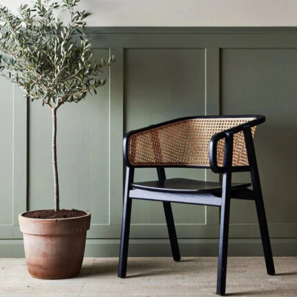 Furnshine - Gehry Solid Teak Wood & Cane Dining Chair