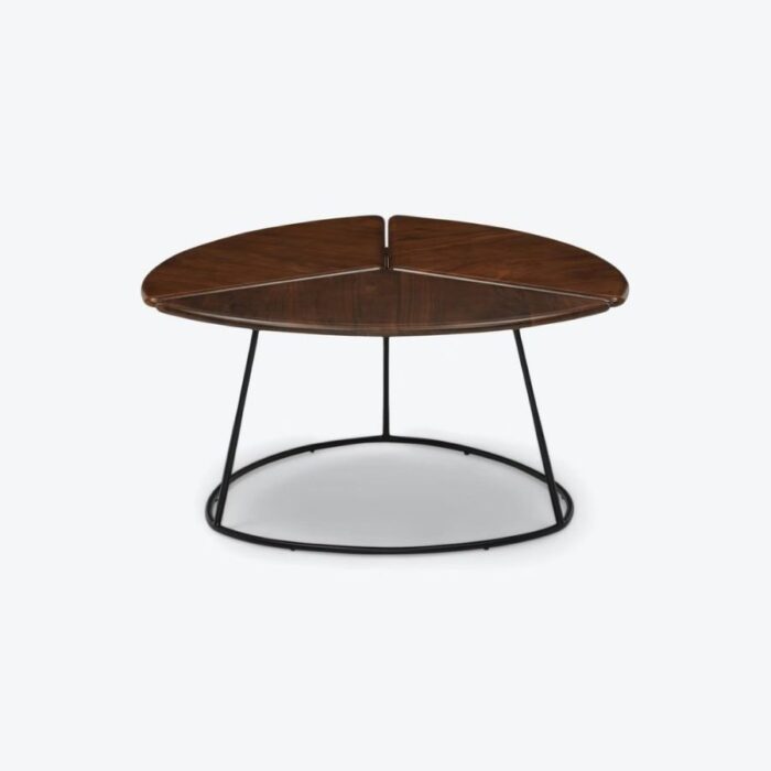 Furn Shine - Narayana Coffee Table - Image 1