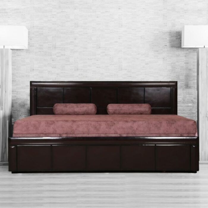 Furnshine - Branley Designer Sofa Cum Bed - Image 1
