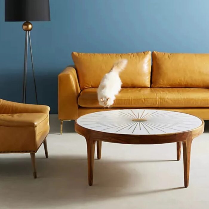 Furnshine - Sherwin Brass Starburst Round Wooden Coffee Table - Image 1