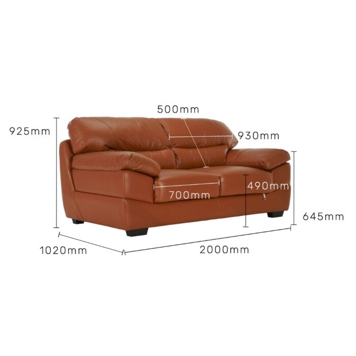Furnshine - Anniston Leather 2-Seater Upholstered Sofa in Tan Brown - Image 9