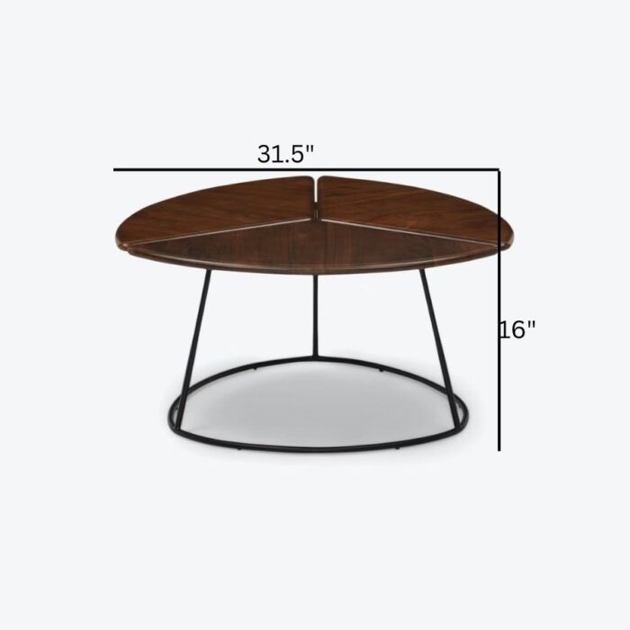 Furn Shine - Narayana Coffee Table - Image 6
