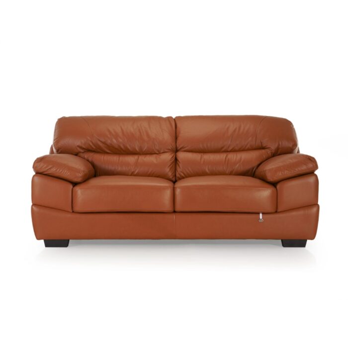 Furnshine - Anniston Leather 2-Seater Upholstered Sofa in Tan Brown - Image 2