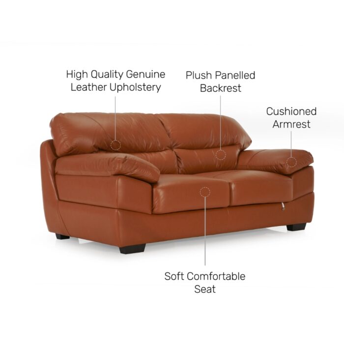 Furnshine - Anniston Leather 2-Seater Upholstered Sofa in Tan Brown - Image 10