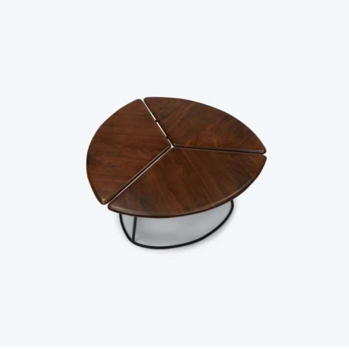 Furn Shine - Narayana Coffee Table - Image 5