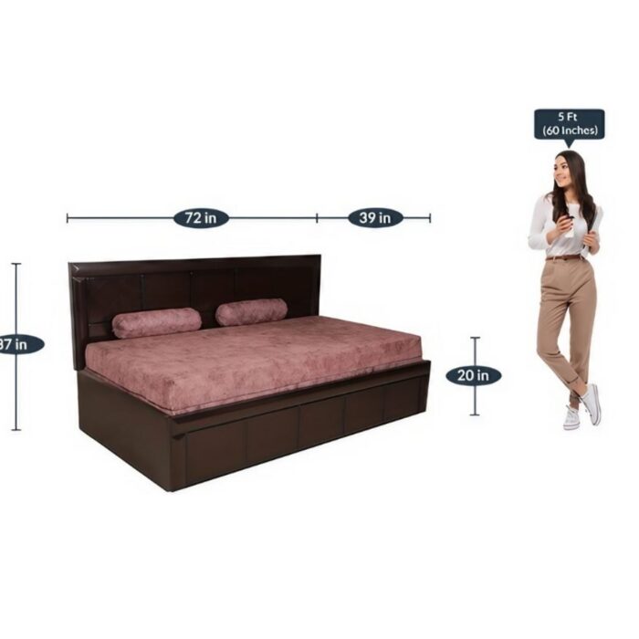 Furnshine - Branley Designer Sofa Cum Bed - Image 6