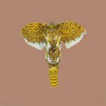 Furnshine - Hand-Painted Wooden Elephant Face Wall Hanging | Yellow Mandala Tribal Art Rajasthani Handicraft Home & Festive Decor